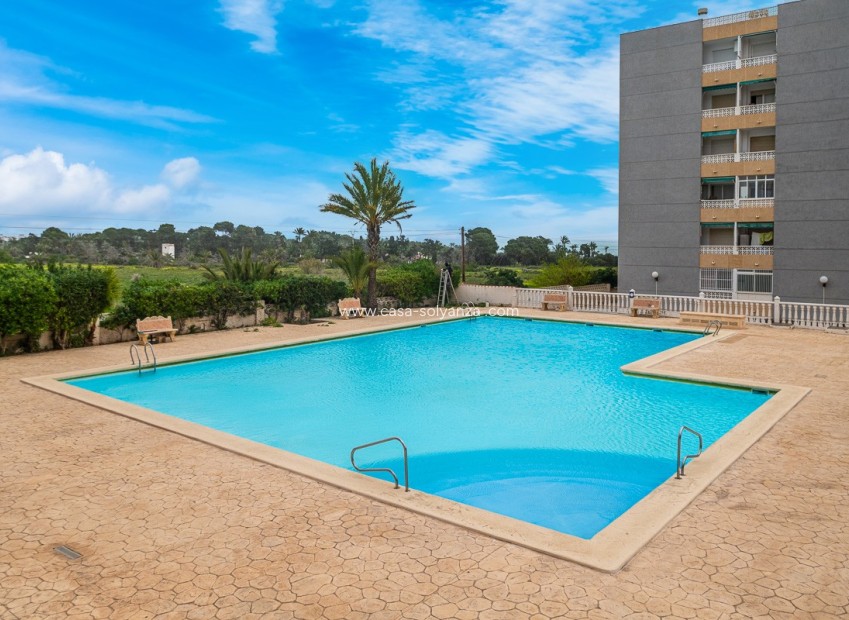 Wiederverkauf - Wohnung - Torrevieja - Punta Prima