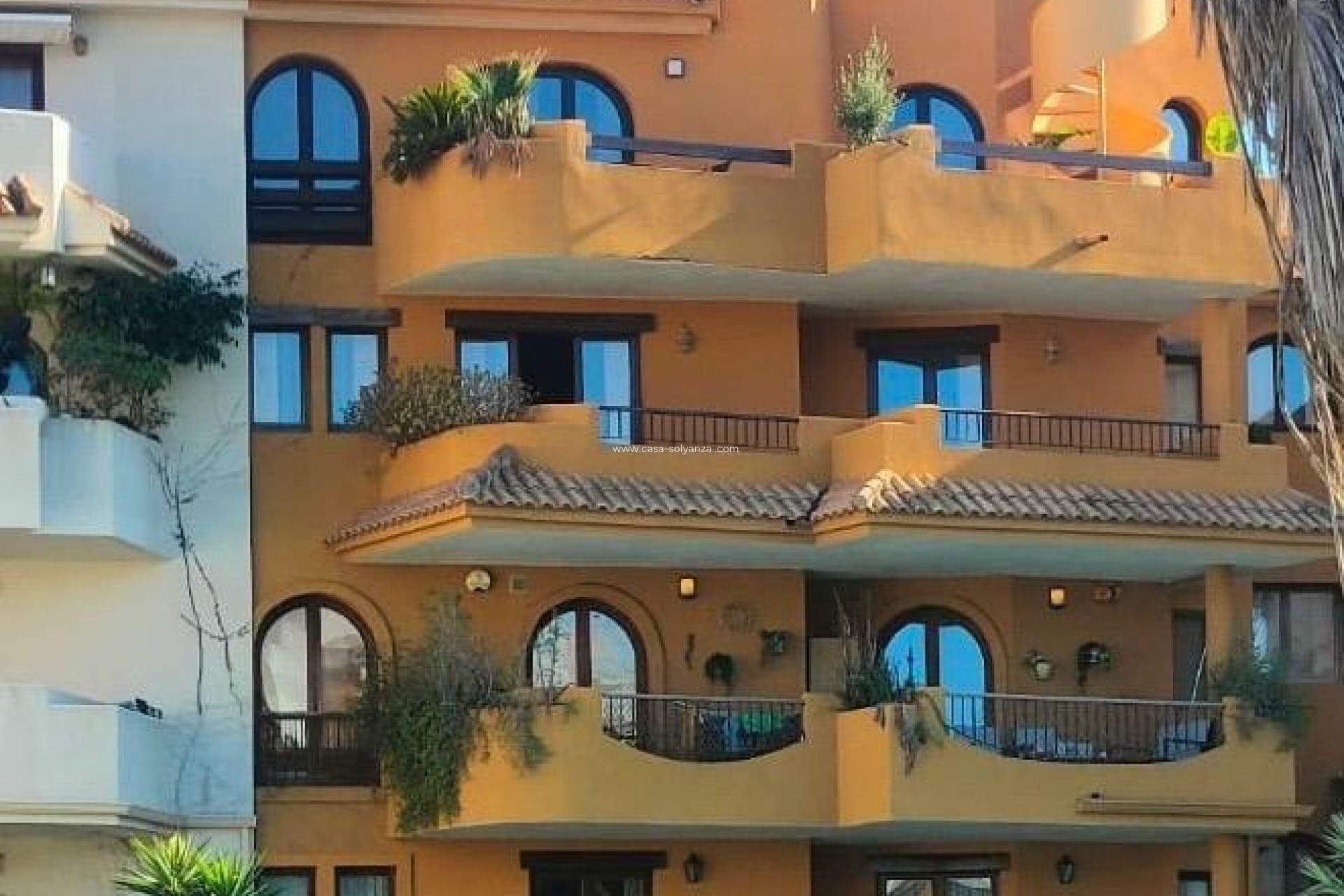 Wiederverkauf - Wohnung - Torrevieja - Punta Prima