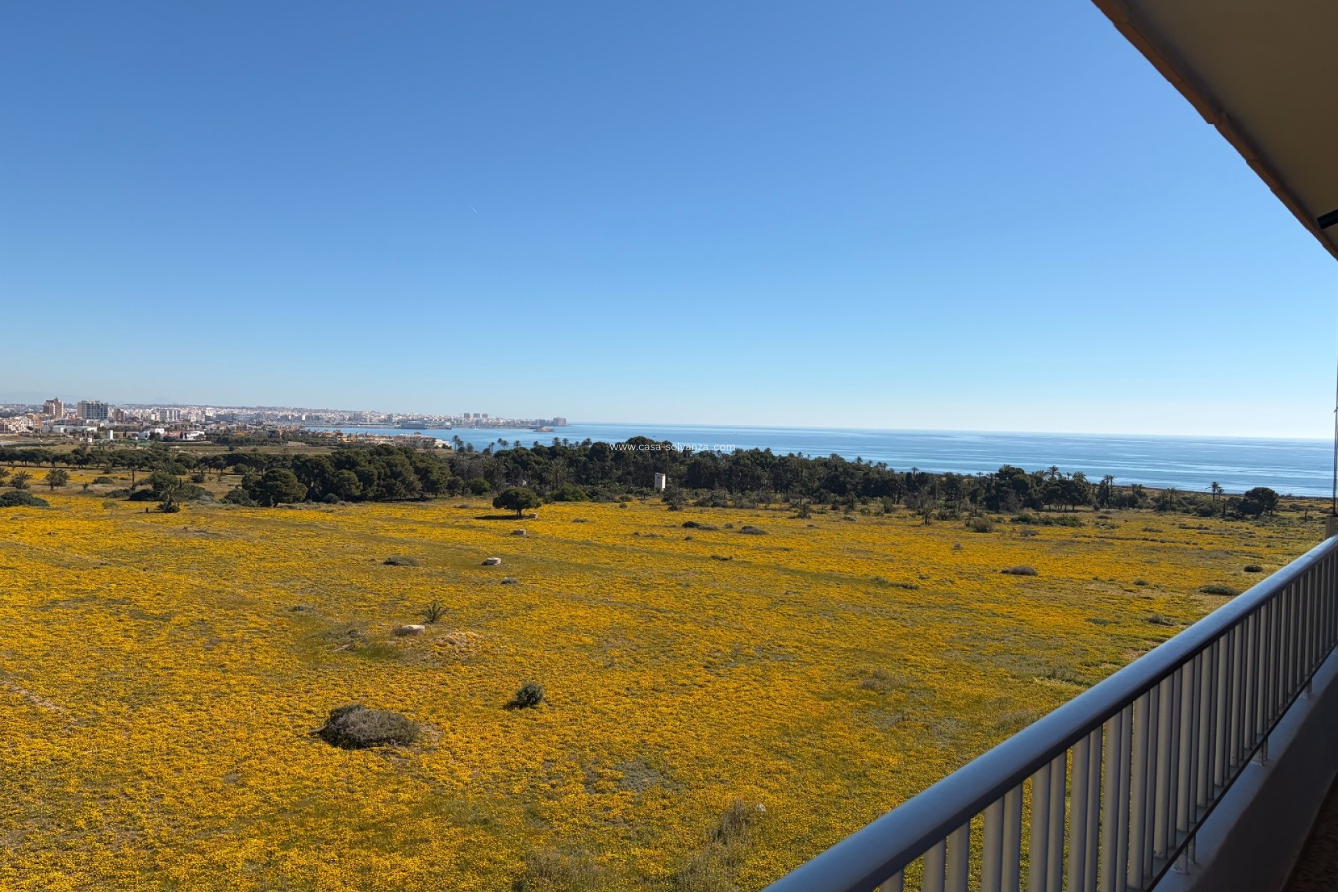 Wiederverkauf - Wohnung - Torrevieja - Punta Prima