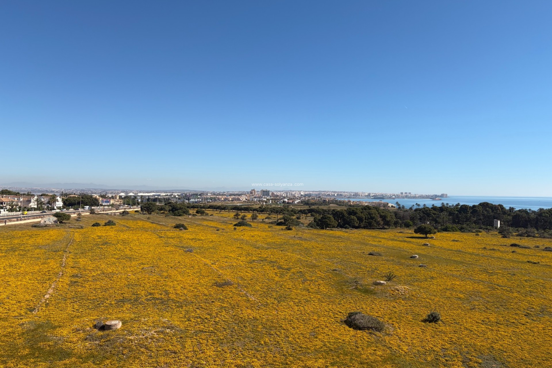 Wiederverkauf - Wohnung - Torrevieja - Punta Prima