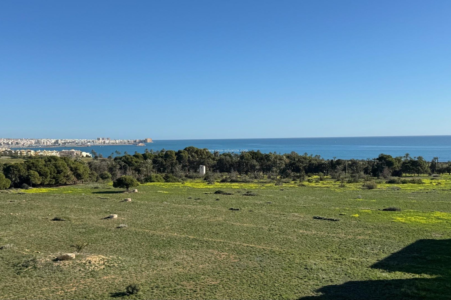 Wiederverkauf - Wohnung - Torrevieja - Punta Prima