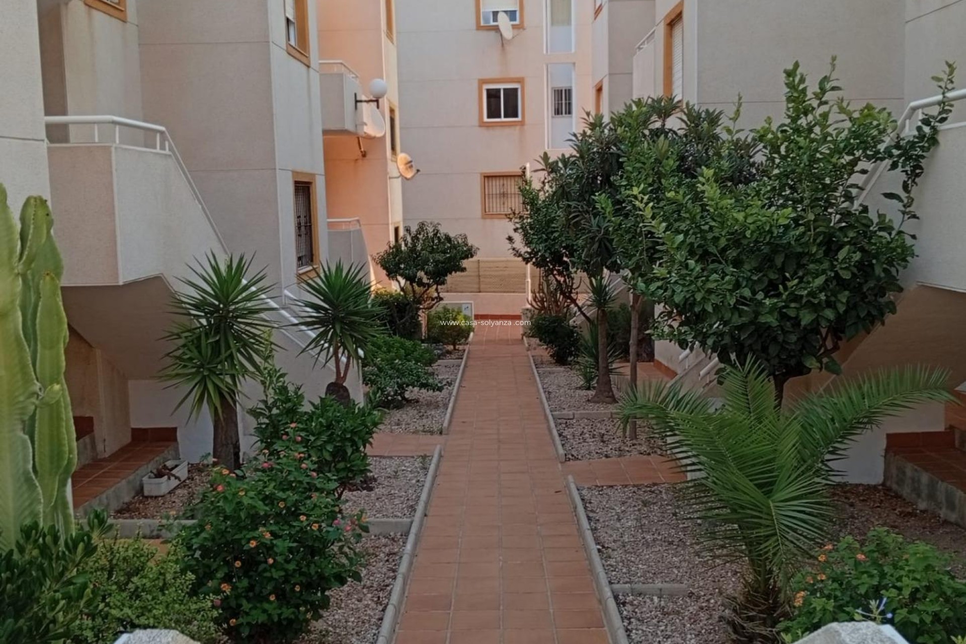 Wiederverkauf - Wohnung - Torrevieja - Torreblanca