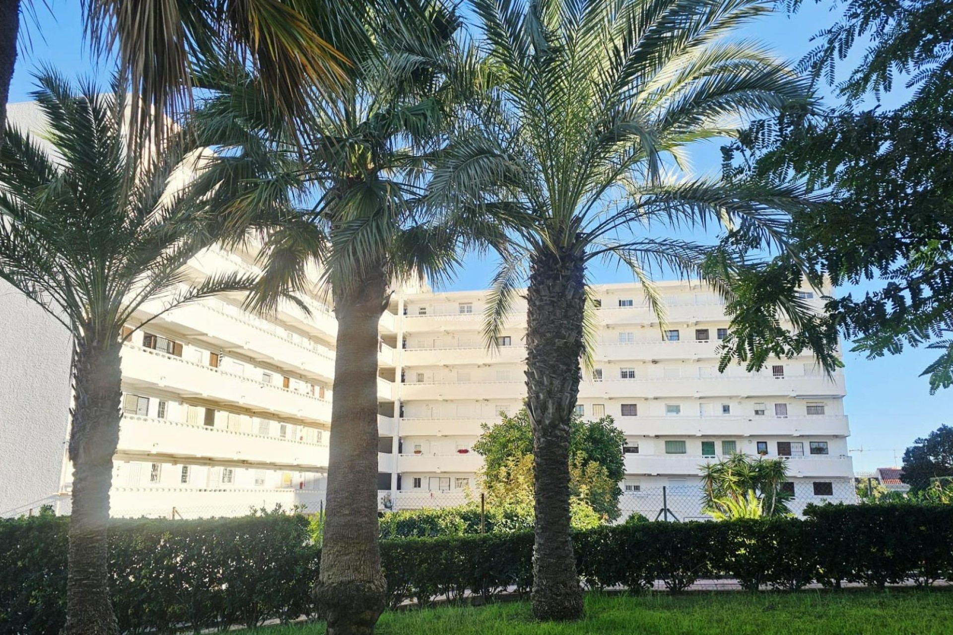 Wiederverkauf - Wohnung - Torrevieja - Torreblanca