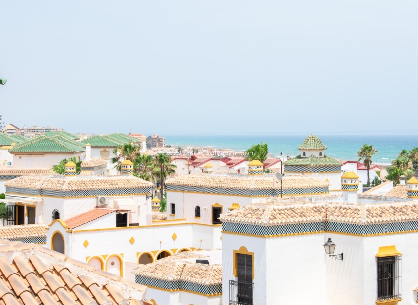 Wiederverkauf - Wohnung - Torrevieja - Torrelamata - La Mata