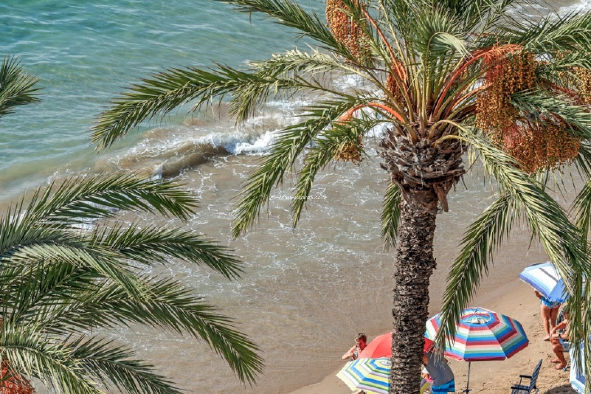 Wiederverkauf - Wohnung - Torrevieja - Torrevieja Centro