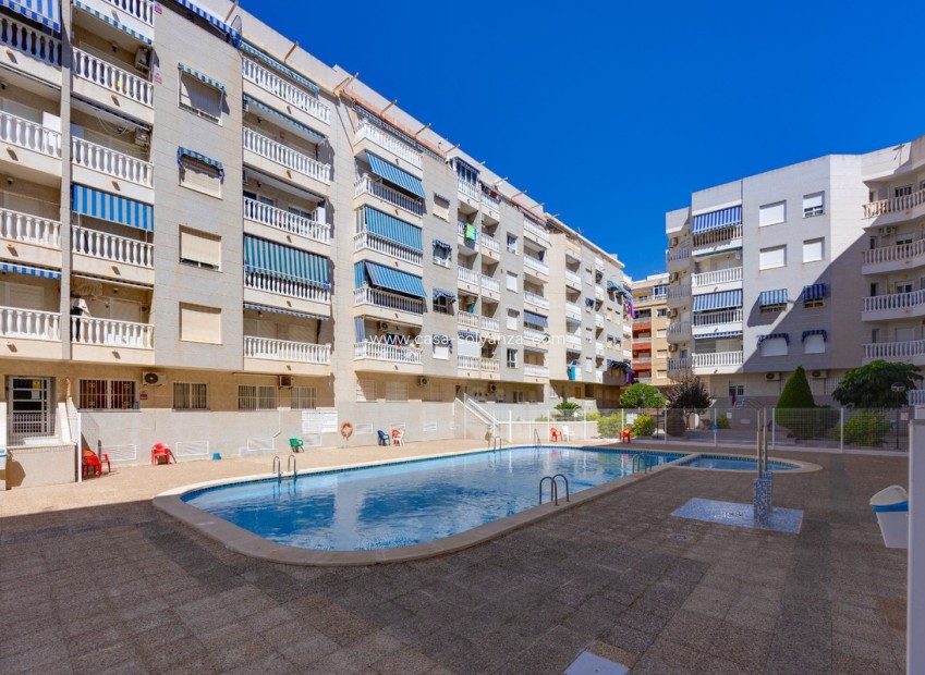 Wiederverkauf - Wohnung - Torrevieja - Torrevieja Centro