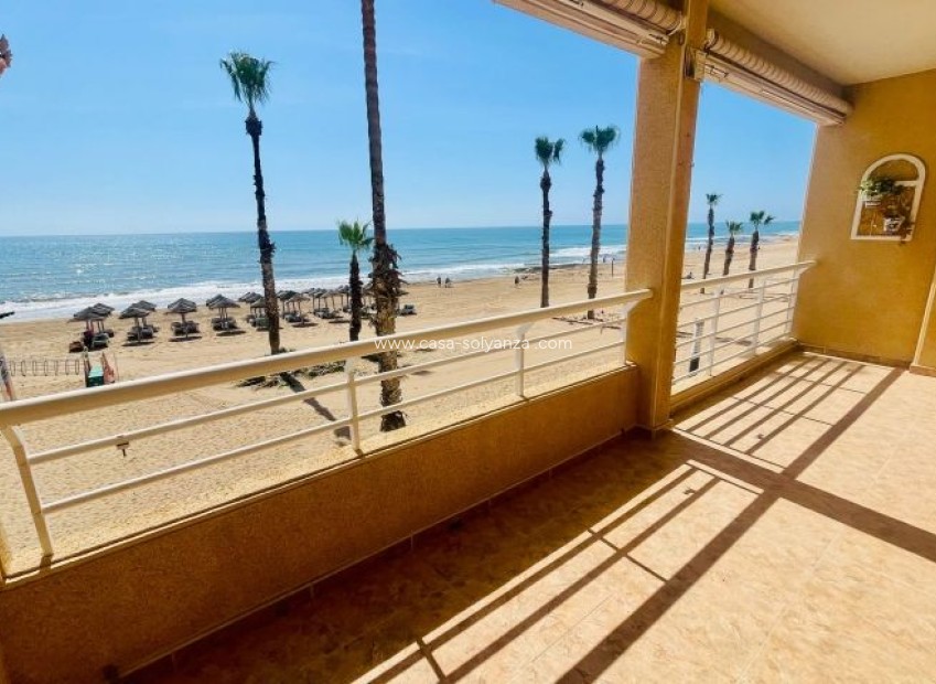 Wiederverkauf - Wohnung - Torrevieja