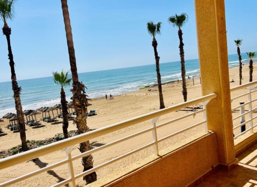 Wiederverkauf - Wohnung - Torrevieja