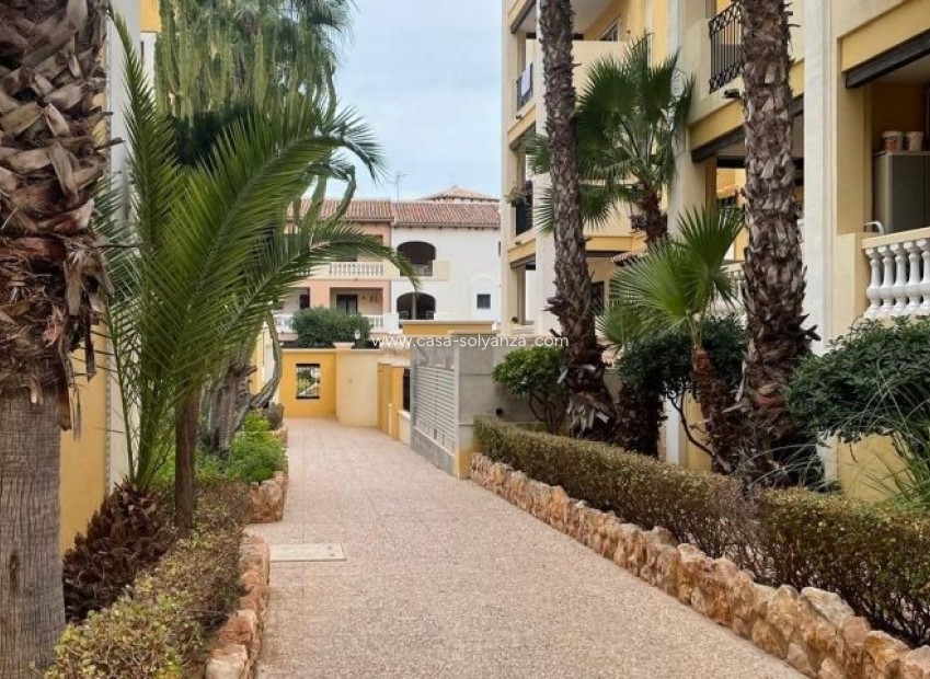 Wiederverkauf - Wohnung - Torrevieja