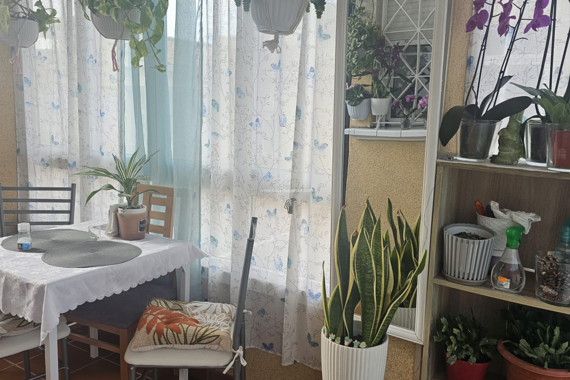 Wiederverkauf - Wohnung - Torrevieja