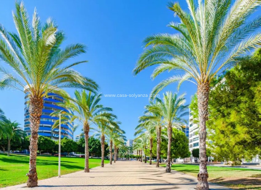Wiederverkauf - Wohnung - Villajoyosa - Costa Blanca