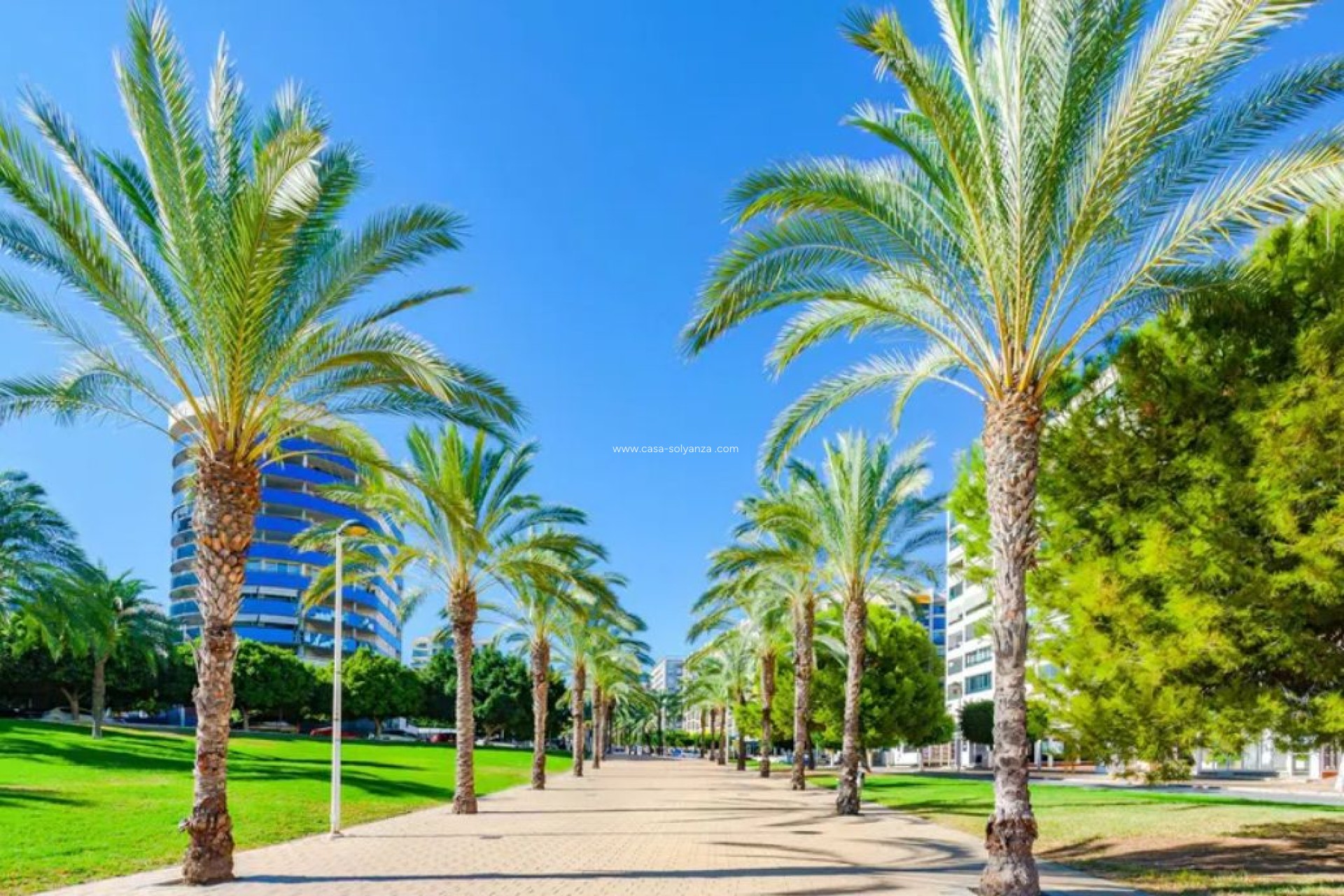 Wiederverkauf - Wohnung - Villajoyosa - Costa Blanca