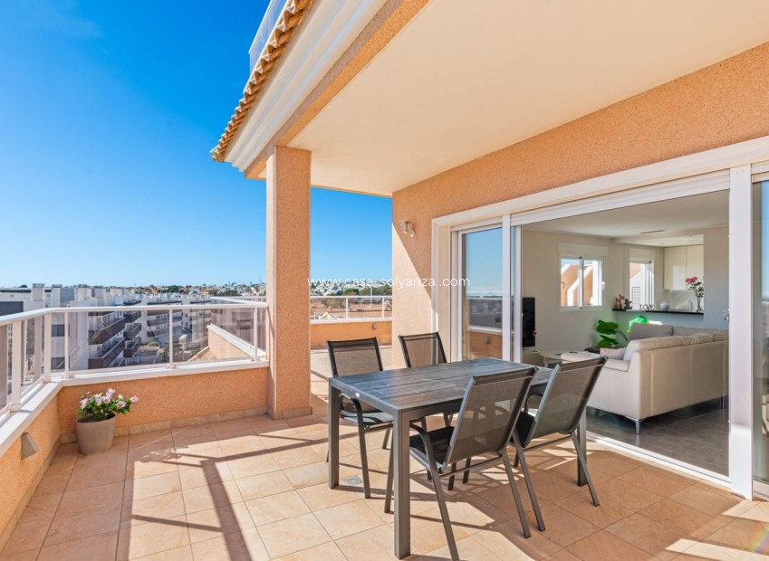 Wiederverkauf - Wohnung - Villamartin - Costa Blanca