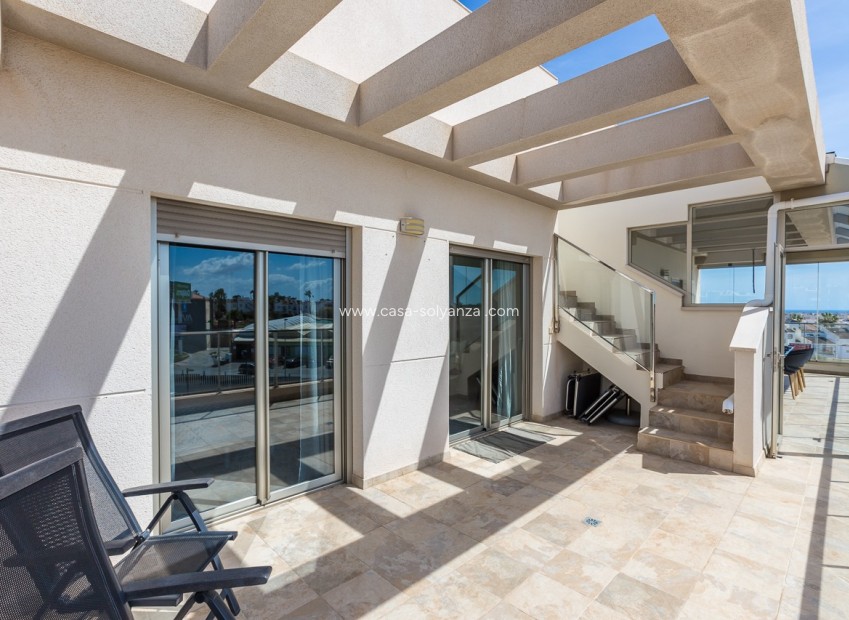 Wiederverkauf - Wohnung - Villamartin - Villamartín