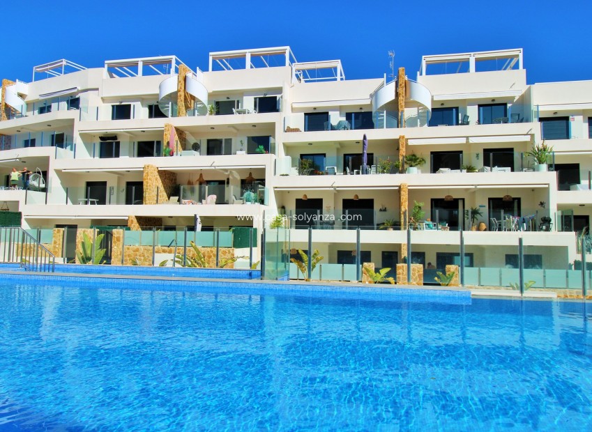 Wiederverkauf - Wohnung - Villamartin - Villamartín