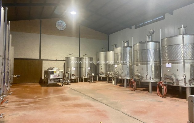 wine cellar - Revente - Albacete - Albacete