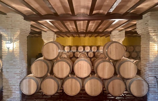 wine cellar - Wiederverkauf - Albacete - Albacete