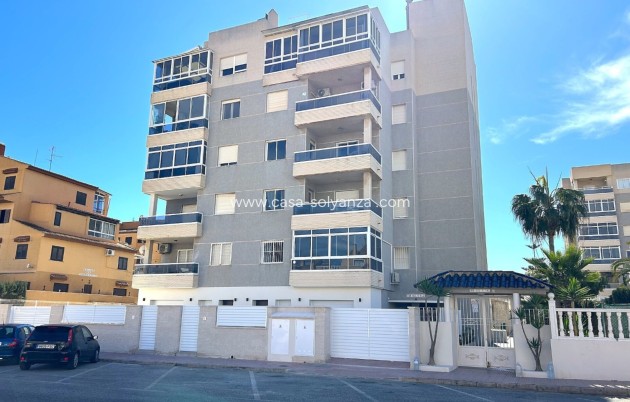Wohnung - Neue Gebäude - Torrevieja - Torrevieja