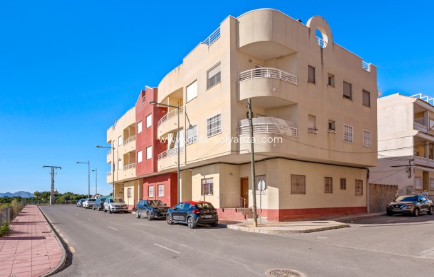Wohnung - Wiederverkauf - Algorfa - Inland