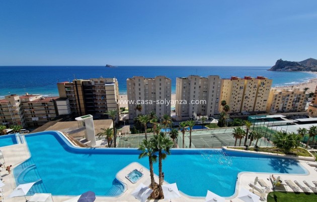 Wohnung - Wiederverkauf - Benidorm - CSRES-85131