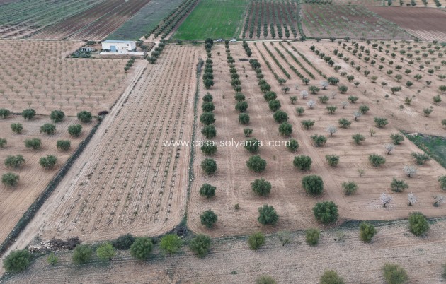 Wohnung - Wiederverkauf - Murcia - Murcia