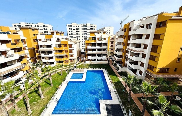 Wohnung - Wiederverkauf - Orihuela - Punta Prima