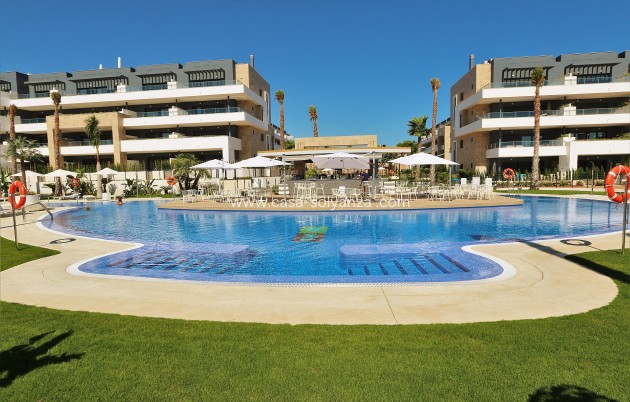 Wohnung - Wiederverkauf - Playa Flamenca - Costa Blanca