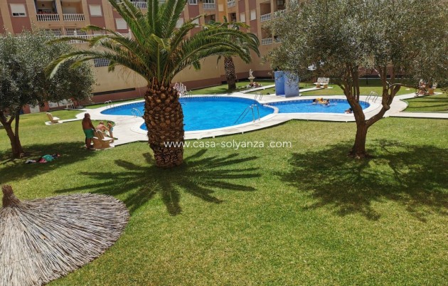 Wohnung - Wiederverkauf - Torrevieja - Costa Blanca