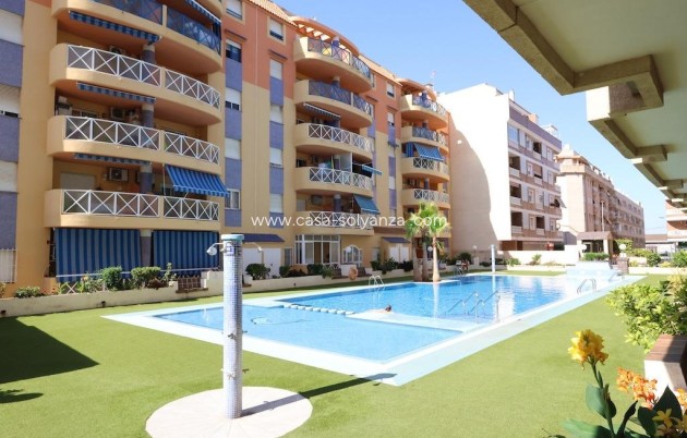 Wohnung - Wiederverkauf - Torrevieja - Costa Blanca