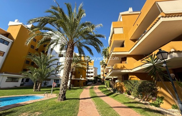 Wohnung - Wiederverkauf - Torrevieja - CSRES-90437