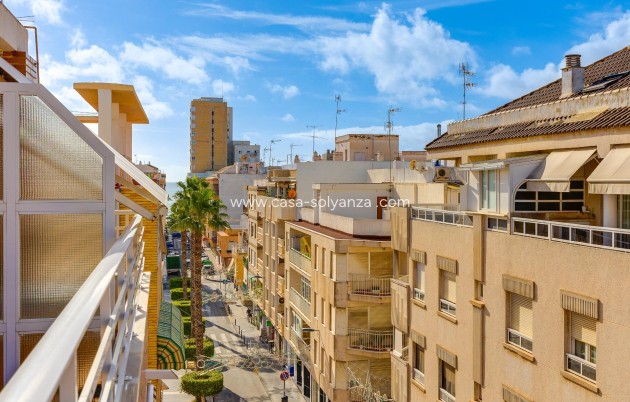 Wohnung - Wiederverkauf - Torrevieja - Paseo Maritimo