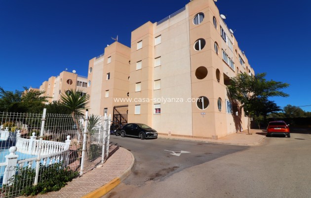 Wohnung - Wiederverkauf - Torrevieja - San Luis