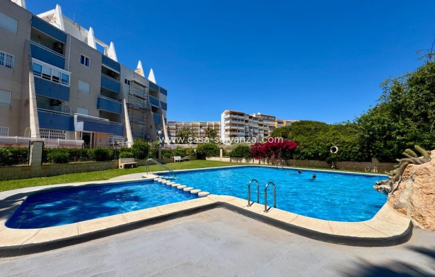 Wohnung - Wiederverkauf - Torrevieja - Torrevieja Centro