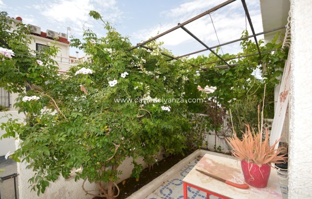 Revente - Maison de ville - Torrevieja - Costa Blanca