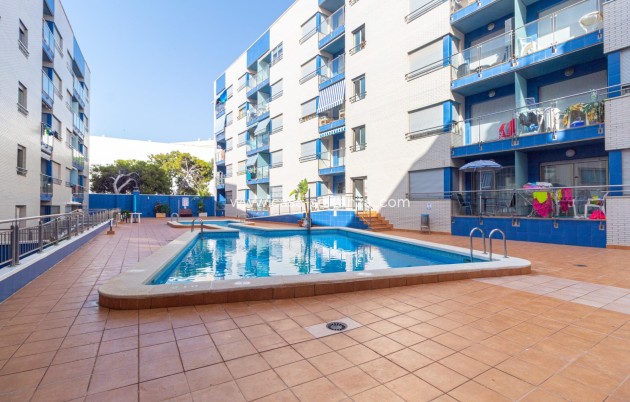 Revente - Flat - Torrevieja - Playa de los locos