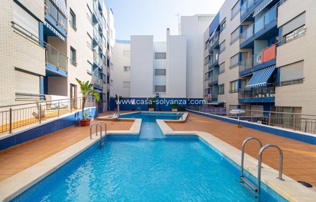 Revente - Flat - Torrevieja - Playa de los locos