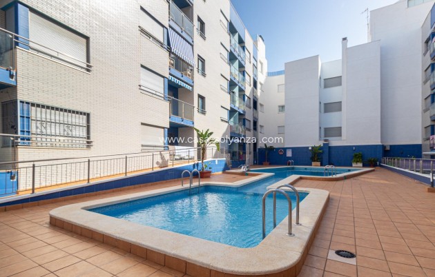 Revente - Flat - Torrevieja - Playa de los locos