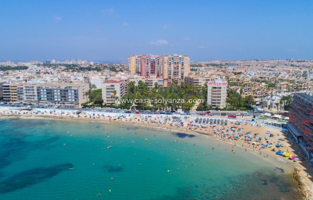 Revente - Flat - Torrevieja - Playa de los locos