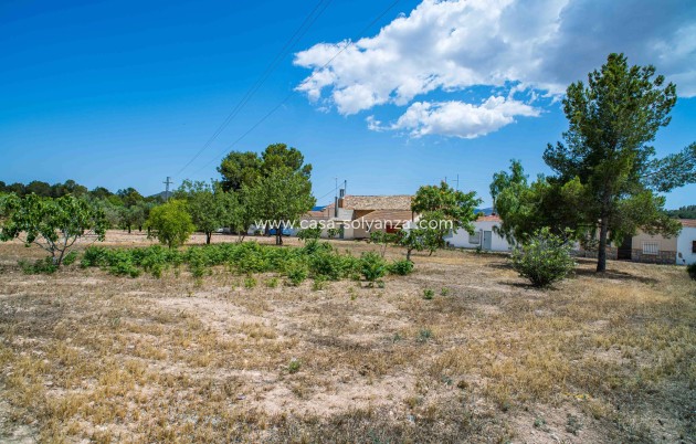 Resale - Land - Ubeda