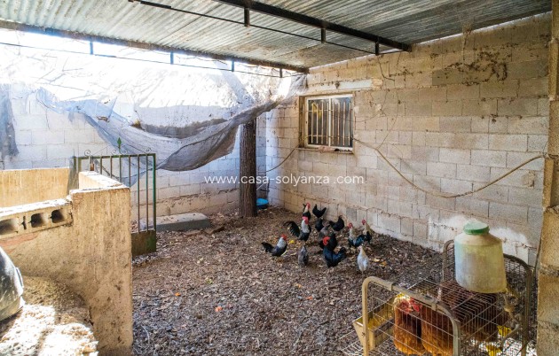Herverkoop - Country Property/Finca - Raspay