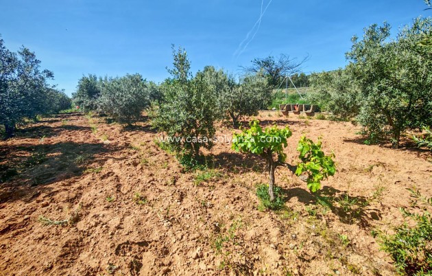Herverkoop - Country Property/Finca - Raspay