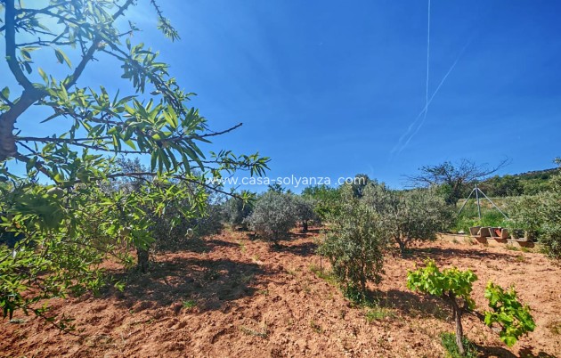 Herverkoop - Country Property/Finca - Raspay