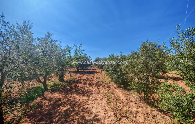 Herverkoop - Country Property/Finca - Raspay
