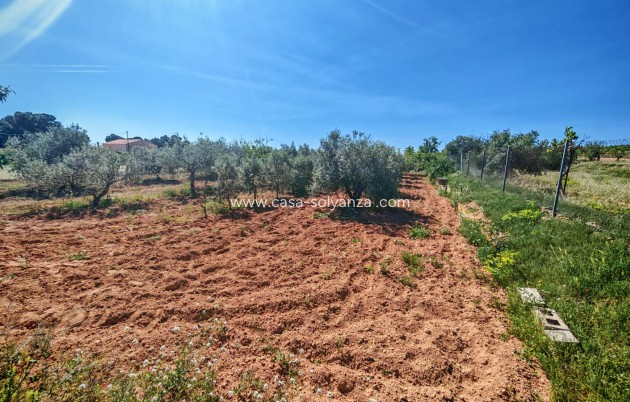 Herverkoop - Country Property/Finca - Raspay