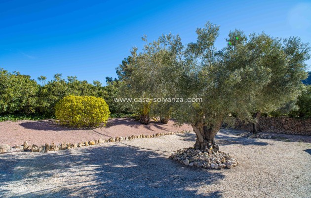 Reventa - Villa - La Zarza