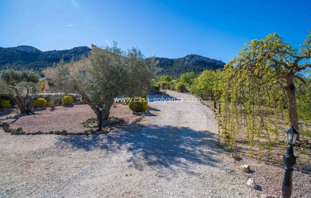 Reventa - Villa - La Zarza