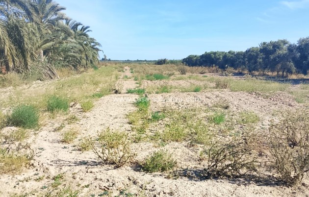 Wiederverkauf - Land - Alicante>Crevillente - 0
