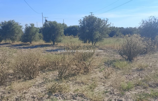 Wiederverkauf - Land - Alicante>Crevillente - 0