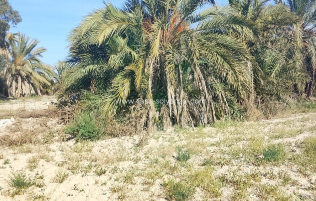 Wiederverkauf - Land - Alicante>Crevillente - 0