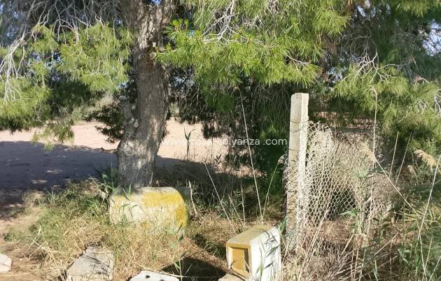 Wiederverkauf - Land - Alicante>Crevillente - 0
